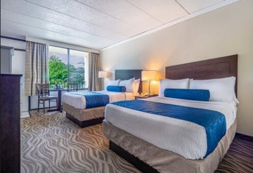 스탠다드 룸 더블 침대 2개, The Breakers Hotel & Suites