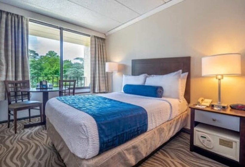 스탠다드 룸 더블 침대 2개, The Breakers Hotel & Suites