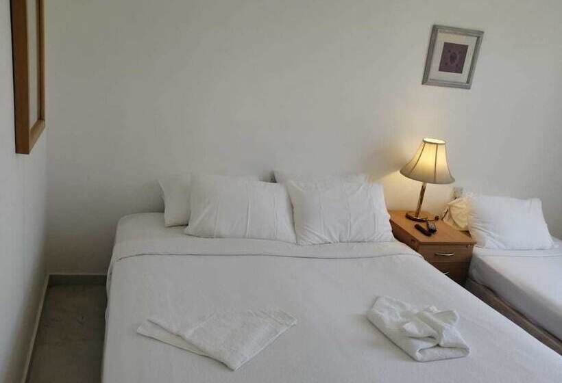 اتاق لوکس, Petra Town Check Inn