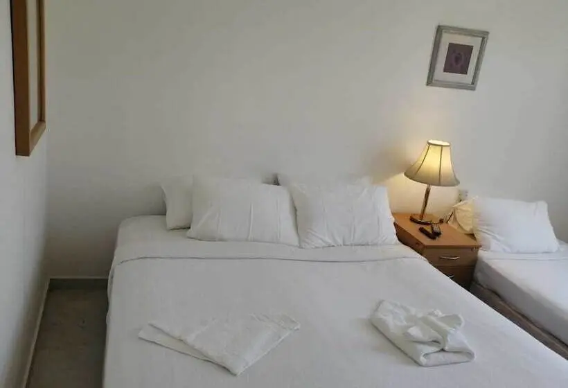 اتاق لوکس, Petra Town Check Inn