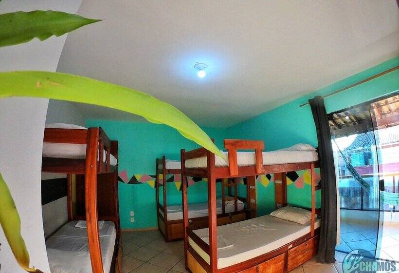 Кровать в Общей Комнате, Chamos Hostel Cultural