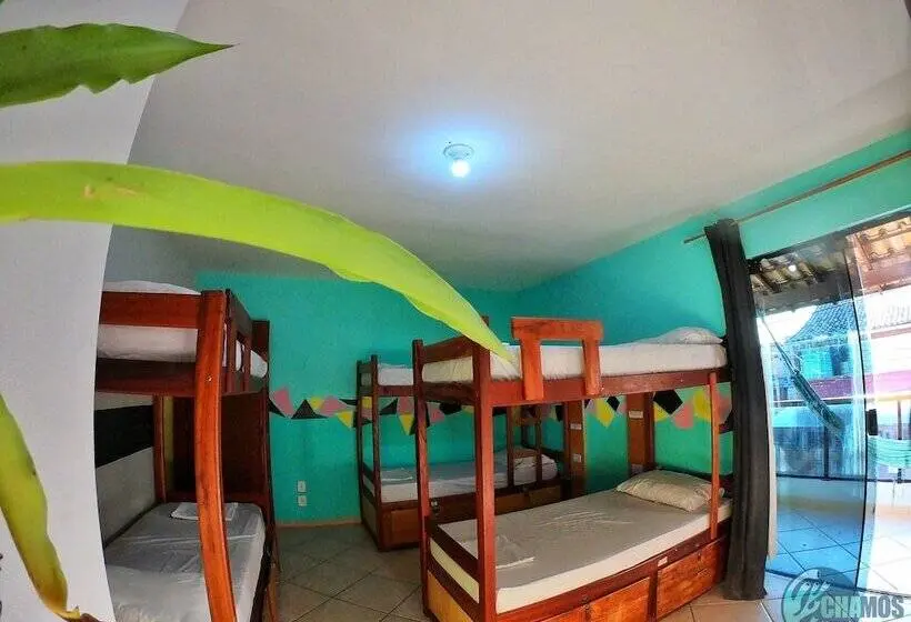 تختخواب در اتاق مشترک, Chamos Hostel Cultural