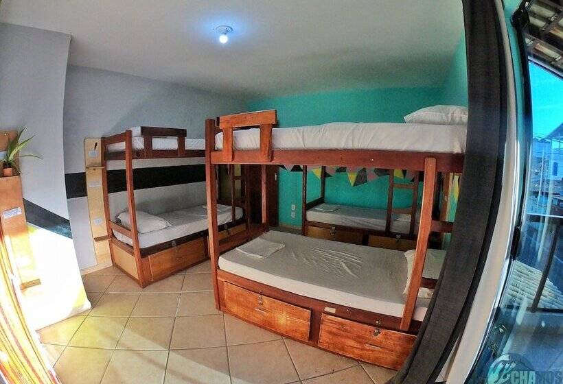 מיטה בחדר משותף, Chamos Hostel Cultural