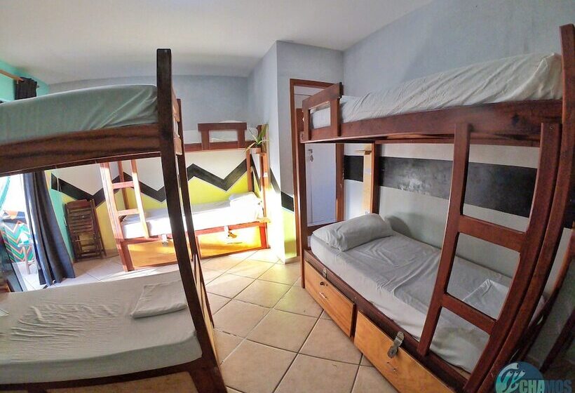 מיטה בחדר משותף, Chamos Hostel Cultural