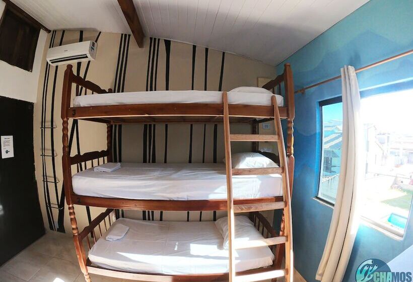 Кровать в Общей Комнате, Chamos Hostel Cultural
