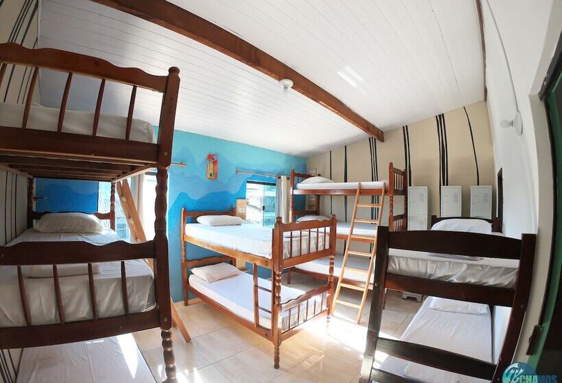 מיטה בחדר משותף, Chamos Hostel Cultural