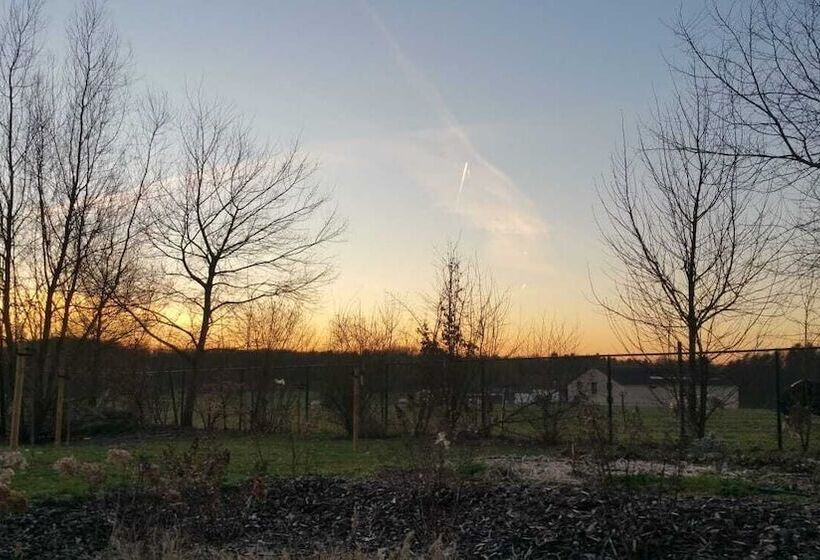 Номер Стандарт, Off