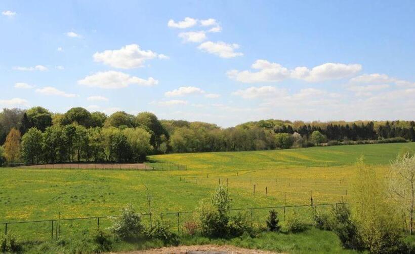 Номер Superior, Off