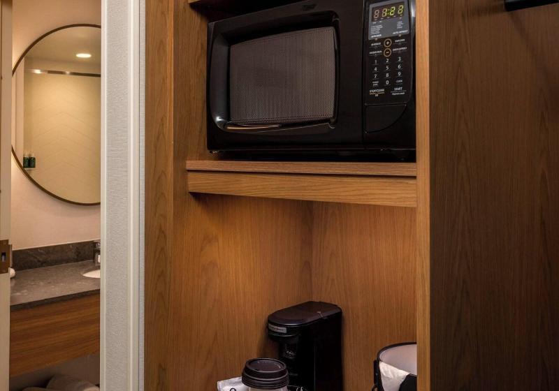 带大床的套房, Fairfield Inn & Suites By Marriott Little Rock Airport