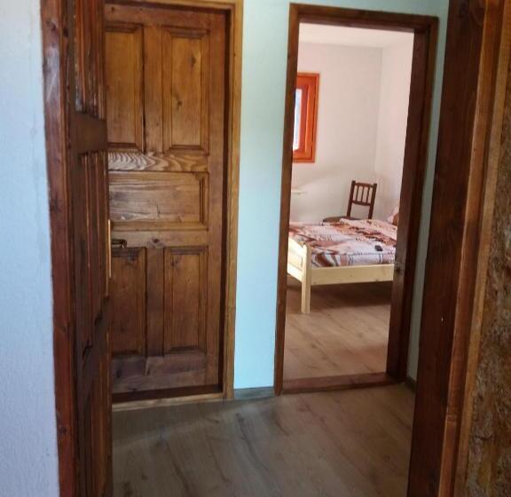 استودیوی استاندارد, Guest House Vukicevic