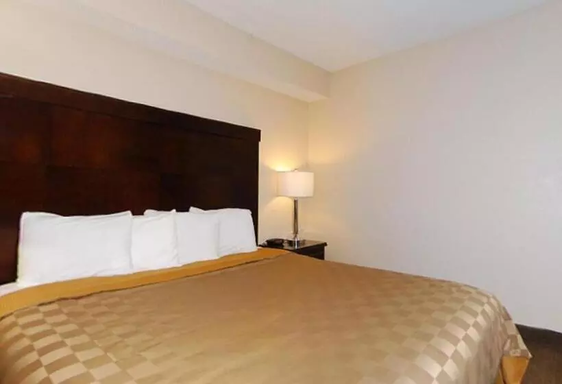 اتاق استاندارد برای معلولان, California Inn And Suites Bakersfield