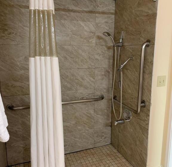 장애인을 위한 스탠다드 룸, California Inn And Suites Bakersfield