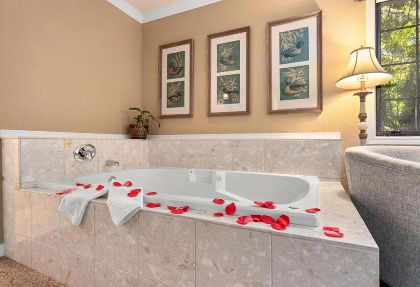 Номер Deluxe Кровать Кинг, Candlelight Inn Napa Valley