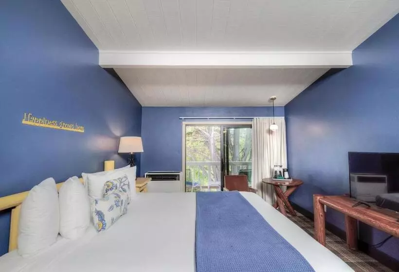 キングサイズベッドのスタンダードルーム, Carmel River Inn