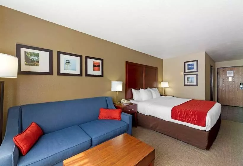 Standard-huone Parivuode, Comfort Inn River's Edge