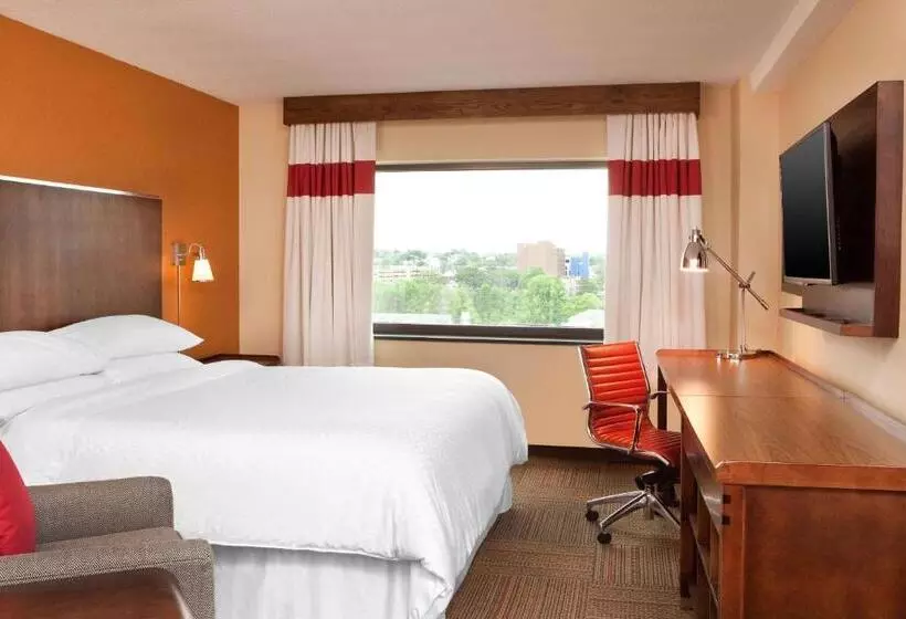 キングサイズベッドのスタンダードルーム, Anz Hotels Scranton