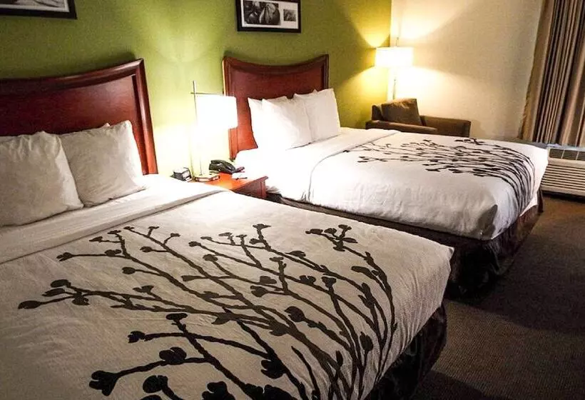 Standard-huone 2 Parivuodetta, Sleep Inn & Suites