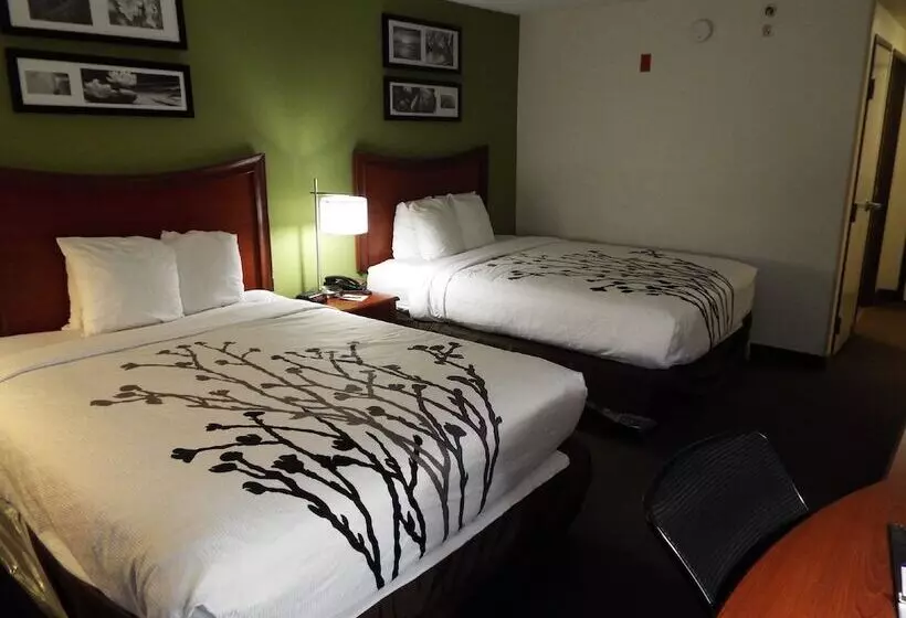 Standard-huone 2 Parivuodetta, Sleep Inn & Suites