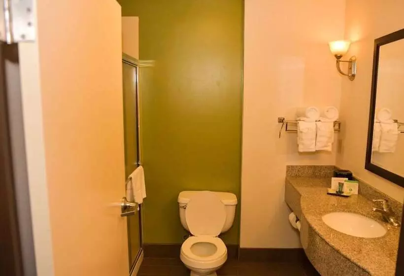 Standard-huone 2 Parivuodetta, Sleep Inn & Suites