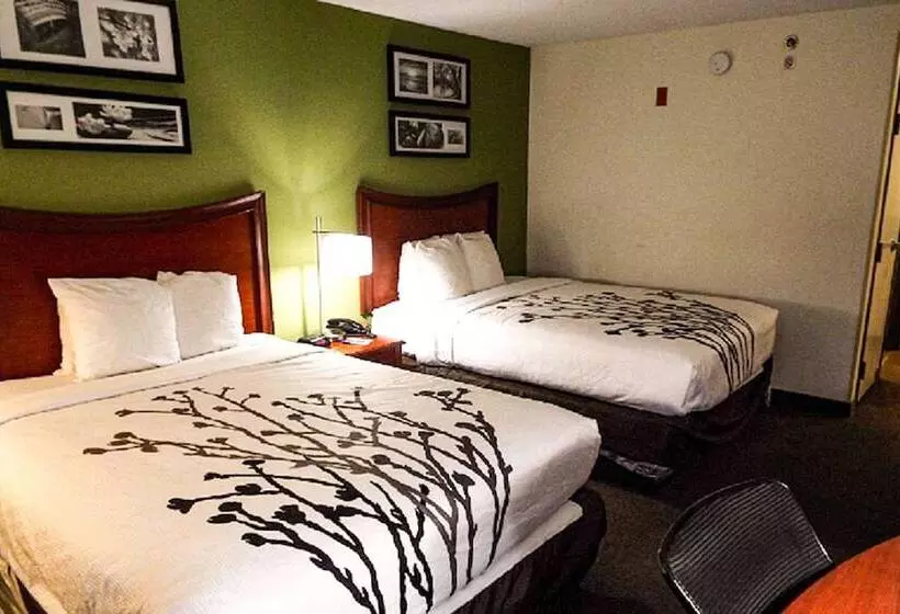 Standard-huone 2 Parivuodetta, Sleep Inn & Suites