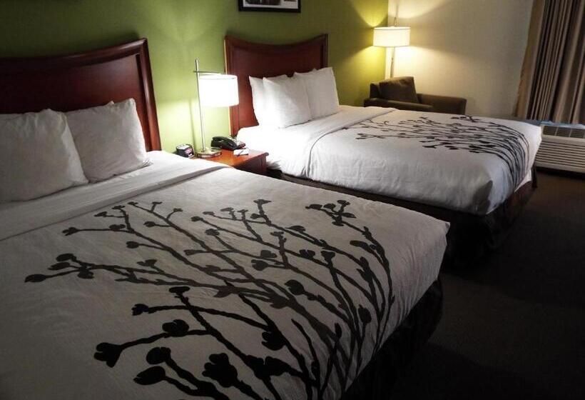 Номер Стандарт 2 Двуспальные Кровати, Sleep Inn & Suites