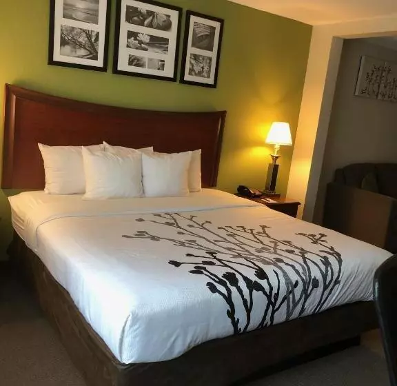 Standard-huone King-vuode, Sleep Inn & Suites