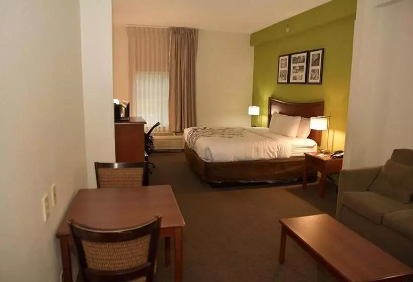 Standard-huone King-vuode, Sleep Inn & Suites
