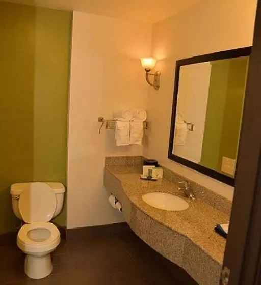 Standard-huone King-vuode, Sleep Inn & Suites