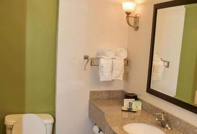Standard-huone King-vuode, Sleep Inn & Suites