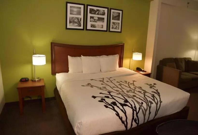 Standard-invahuone King-vuode, Sleep Inn & Suites