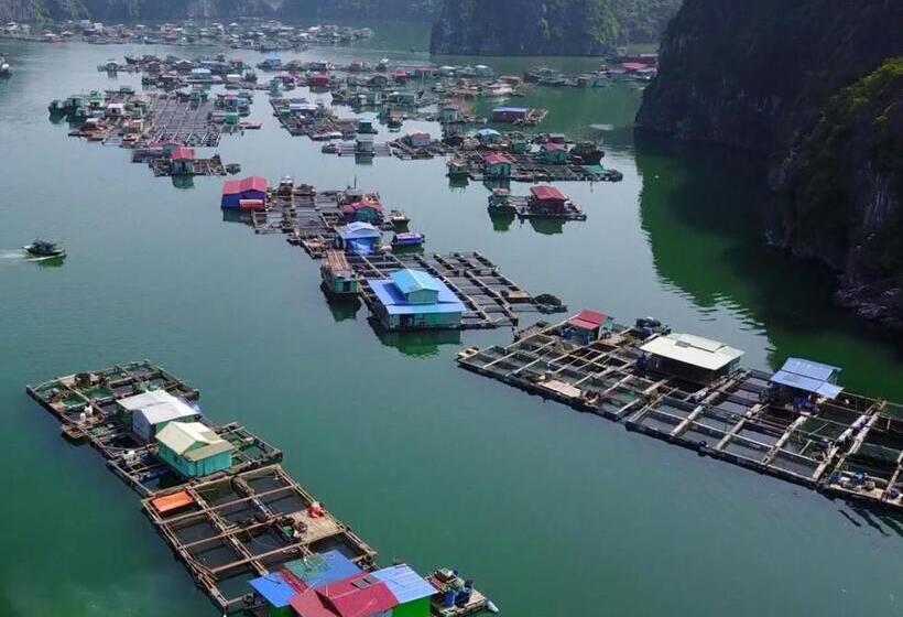 اتاق استاندارد سه نفره, Cat Ba Thailand