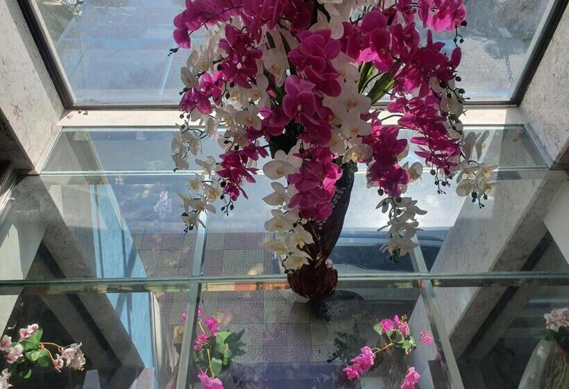 اتاق استاندارد سه نفره, Cat Ba Thailand