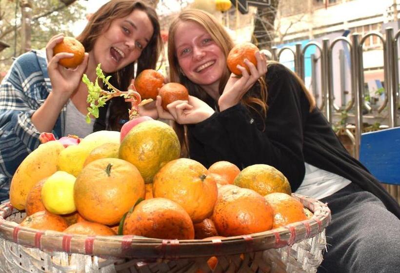 اتاق استاندارد, Lila Inn & Motorbike Tours Ha Giang