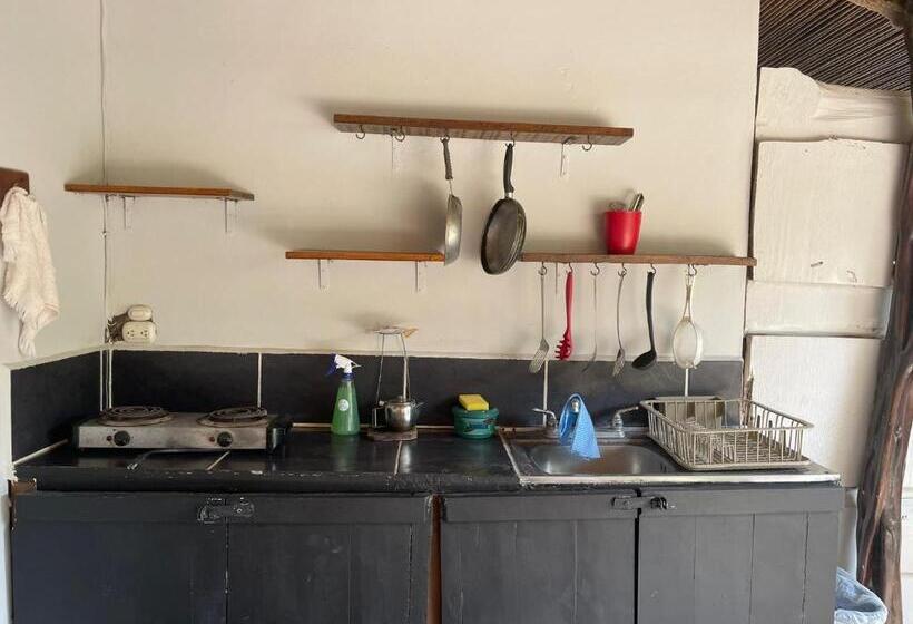 חדר קלאסי לארבעה, Beach Cabinas