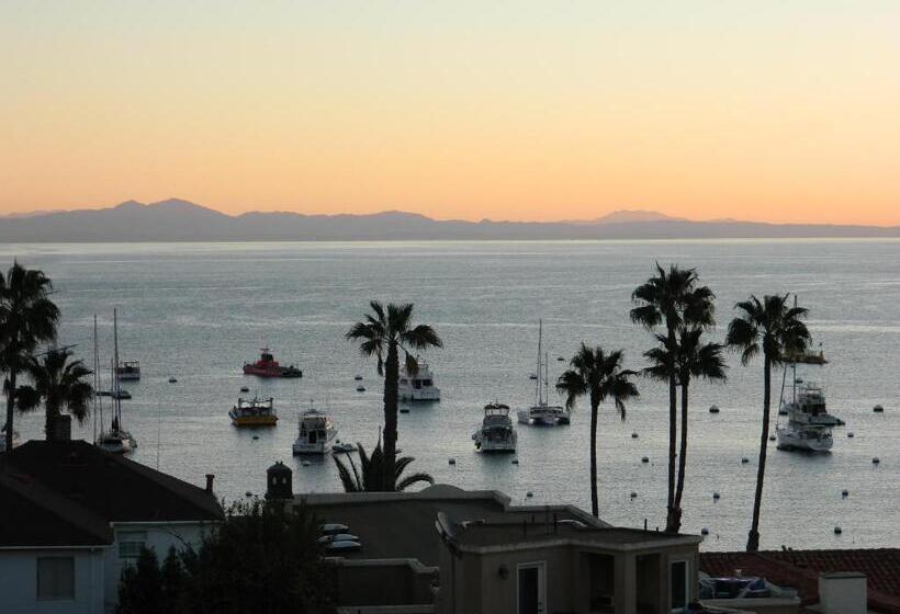 带观景的标准间, Aurora