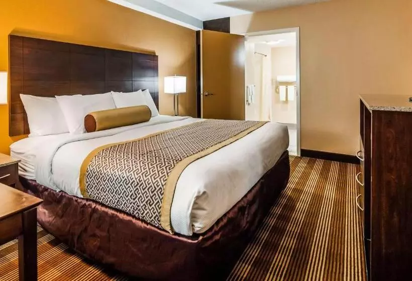 اتاق استاندارد با تخت بزرگ, Best Western Cape Cod