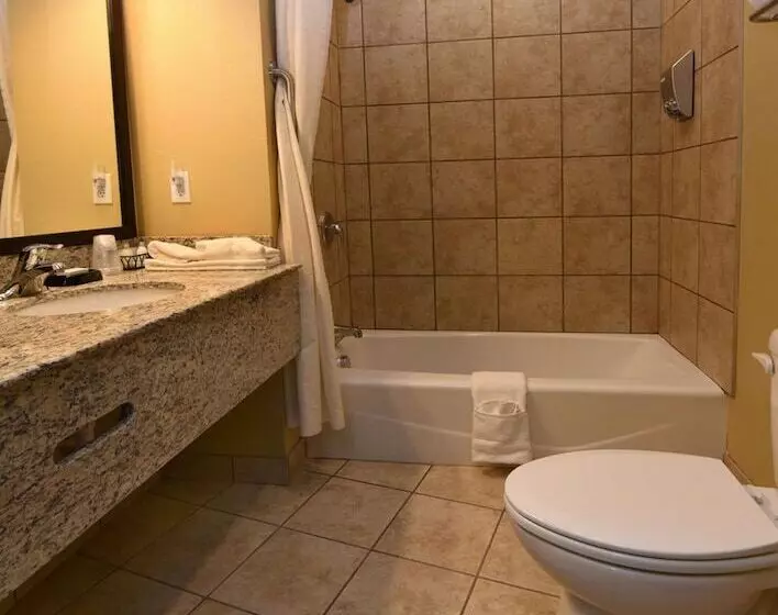 Sviitti, Best Western Plus Vintage Valley Inn