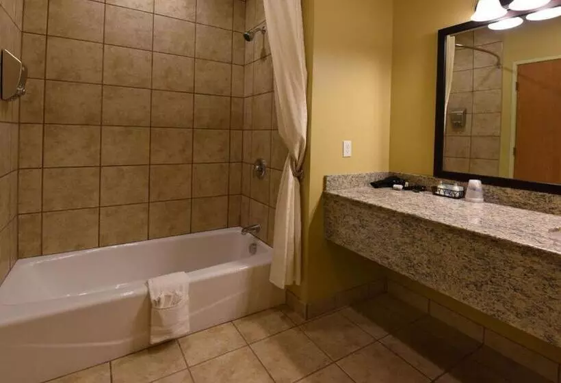 Standard-huone, Best Western Plus Vintage Valley Inn