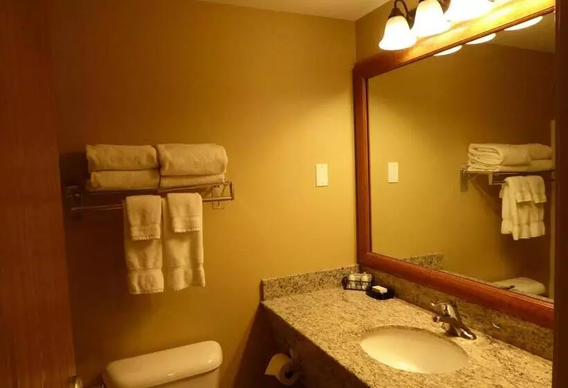 Sviitti King-vuode, Best Western Plus Vintage Valley Inn