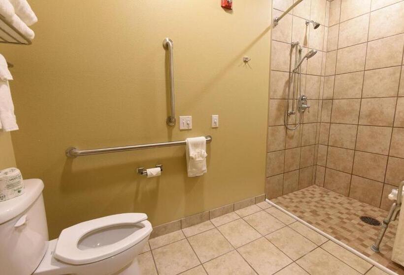 غرفة قياسية سرير كينج لذوى الإحتياجات الخاصة, Best Western Plus Vintage Valley Inn
