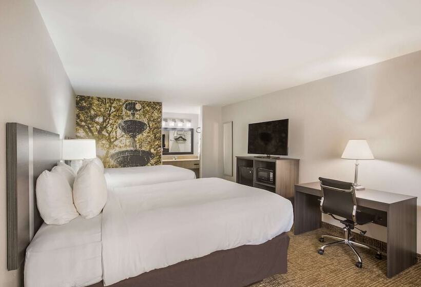 스탠다드 룸 더블 침대 2개, Clarion Pointe Forsyth I75