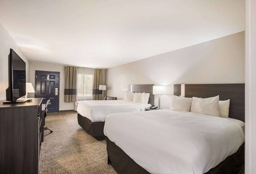 스탠다드 룸 더블 침대 2개, Clarion Pointe Forsyth I75