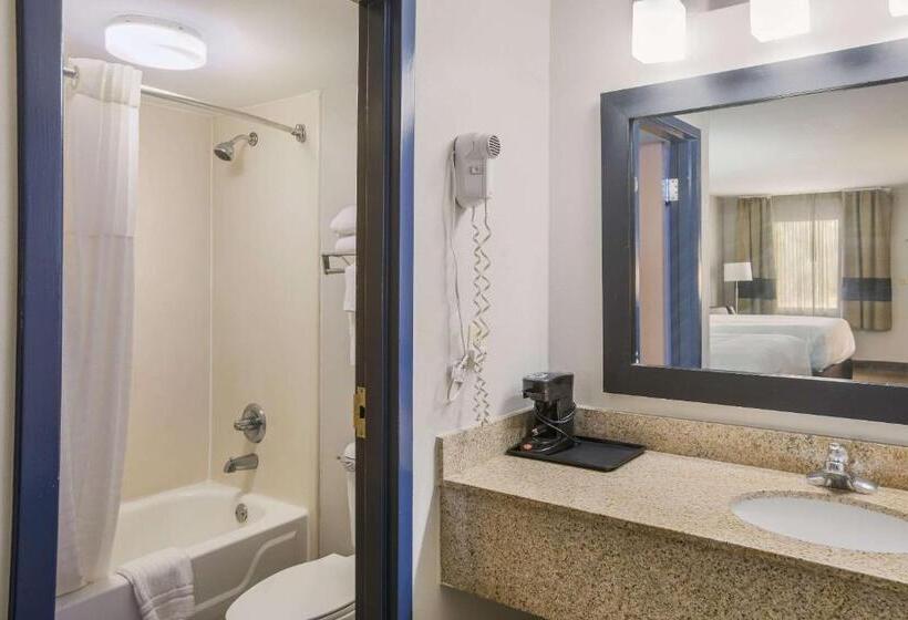 스탠다드 룸 킹사이즈 침대, Clarion Pointe Forsyth I75