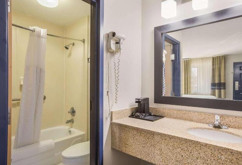 스탠다드 룸 킹사이즈 침대, Clarion Pointe Forsyth I75