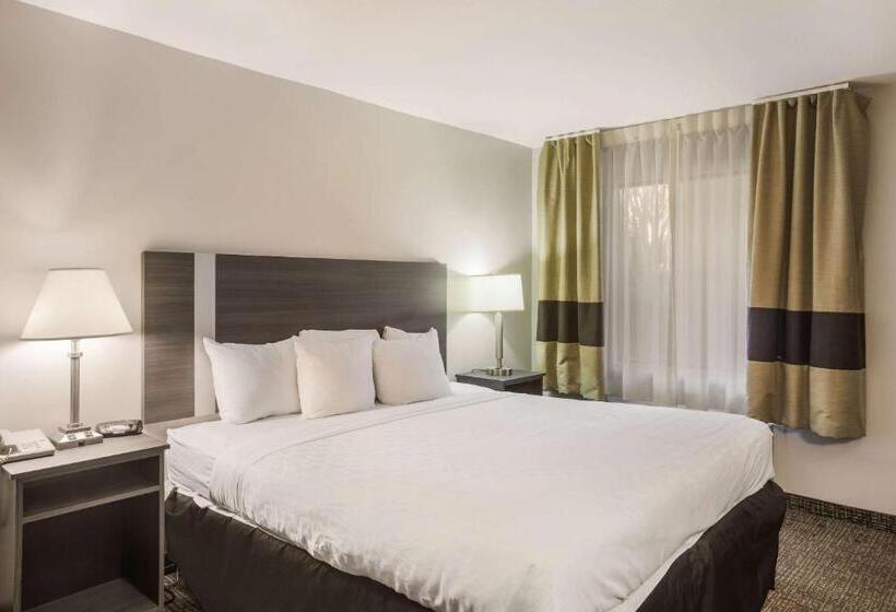 스탠다드 룸 킹사이즈 침대, Clarion Pointe Forsyth I75