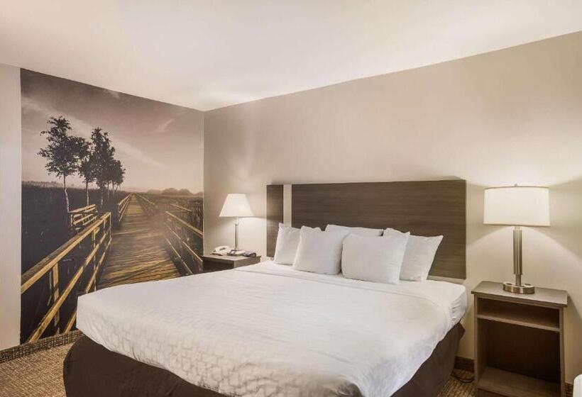 스탠다드 룸 킹사이즈 침대, Clarion Pointe Forsyth I75