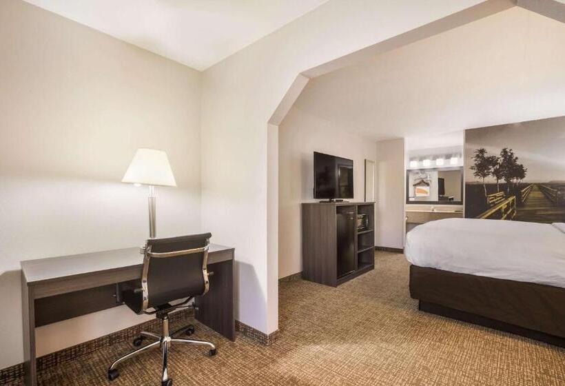 스위트 킹사이즈 침대, Clarion Pointe Forsyth I75