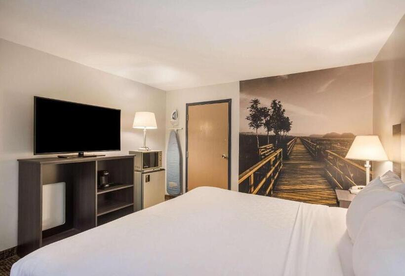 스위트 킹사이즈 침대, Clarion Pointe Forsyth I75