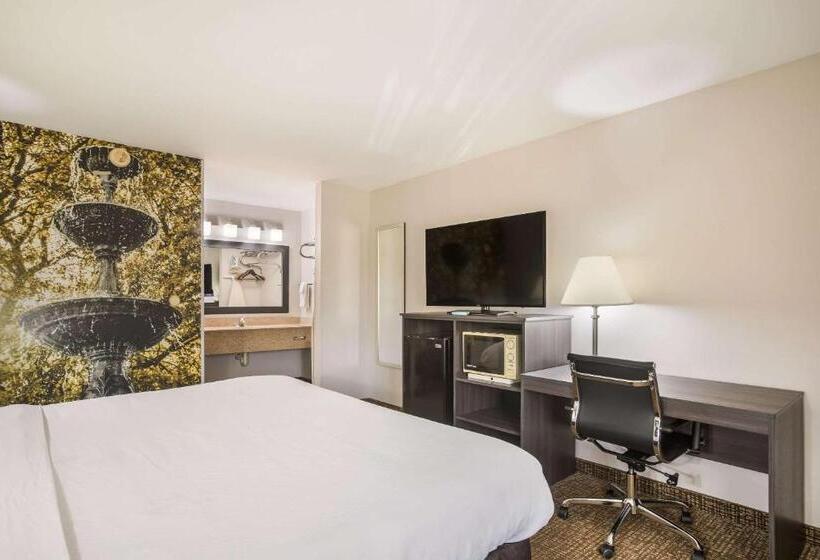 장애인을 위한 킹사이즈 침대 스탠다드 룸, Clarion Pointe Forsyth I75