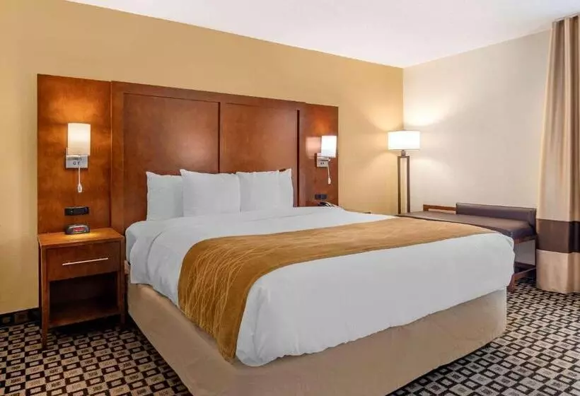 Standard-huone King-vuode, Comfort Inn & Suites